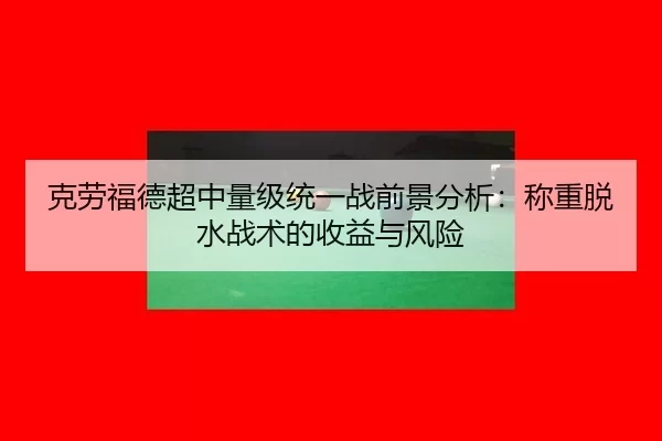 ke-lao-fu-de-chao-zhong-liang-ji-tong-yi-zhan-qian-jing-fen-xi-cheng-zhong-tuo-shui-zhan-shu-de-shou-yi-yu-feng-xian-3-458.jpg